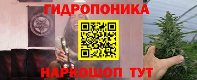 jwh Будённовск