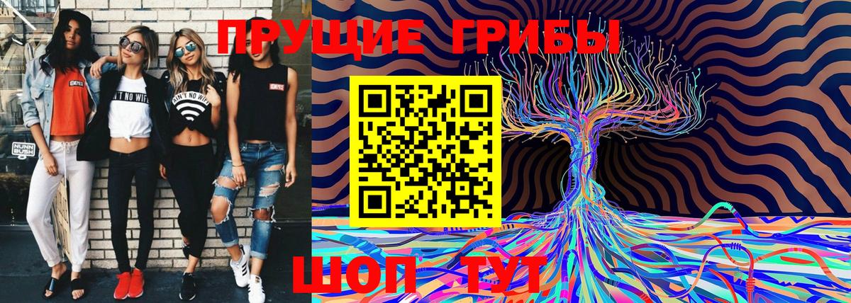 Псилоцибиновые грибы мицелий Обь