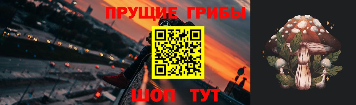Обь  закладка  Вход с VPN  Галлюциногенные грибы Psilocybine cubensis 